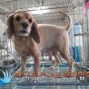 도봉로-3 이미지