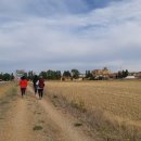 장정주유소 이미지