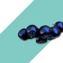 특품농산