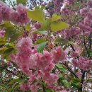 구라농장 이미지