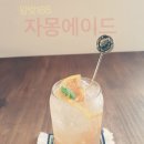 왕벚165 이미지
