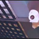 주정차CCTV-KT 이미지