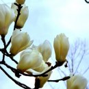 최평락한의원 이미지