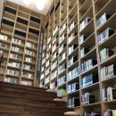 금왕교육도서관 이미지