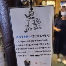 바다를품은돼지 이미지