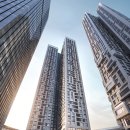 스테이 브라이튼 이미지