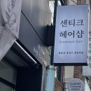 무거동 강아지 미용실 | 울산 무거동 미용실 [센티크헤어] 여자 C컬펌 후기