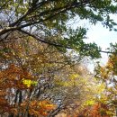 함양여자중학교 이미지