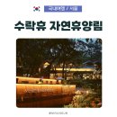 온 가족이 즐기는 「숲속음악소풍」 | 수락휴 자연휴양림 예약 방법, 6인실 4호 &#39;소풍같은 하루&#39;