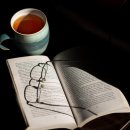 시지초등학교 이미지