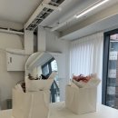 논현충전소 | 강남 학동역꽃집 희다 논현동꽃다발 꽃가게