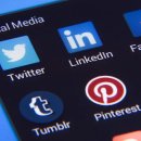 링크애견샵 이미지