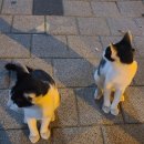 아직 많이 부족하고 가야할 곳은 늘 멀어져