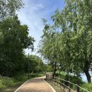쿨랩글로벌 | 코스 추천] 주말 아침을 깨우는 한강 10km 러닝 후기: 잠실 제3주차장부터 암사생태공원 반환까지 완벽...