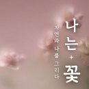부산진구-15 이미지