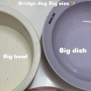 커들리독 이미지