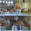 용인대 한뫼 태권도장 이미지