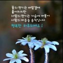 기분좋은하루 이미지