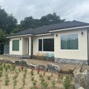 풀돌나무 이미지