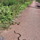 북천경로당 이미지