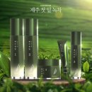 참존제주