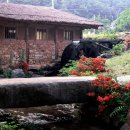 청사초롱 이미지