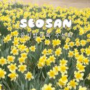 수당리 | 서산 유기방가옥축제 수선화 놀거리 일정