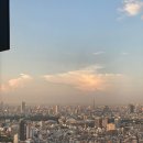세븐일레븐 오산중앙점 | 도쿄 산 다카오산 등산 및 온천 이용 후기, 다카오산 가는 방법, 루트