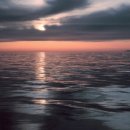 바다의별 이미지