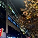 대성메디컬프라자 앞 | 공덕역 필라테스 메디컬필라테스마마 마포공덕점 체어 리포머 후기