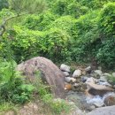 왈왈스테이 이미지