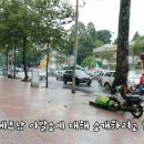 개이발소 이미지