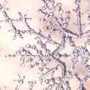 미예담산부인과의원 이미지