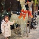 미림목장 이미지