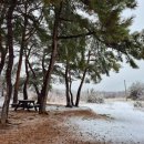 마망펜션 | 강릉여행 중에 다녀온 마망펜션 후기예요