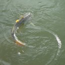 우정낚시터 이미지