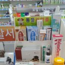 전주바른약국 이미지