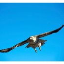 연주공인중개사사무소 이미지