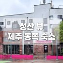 고성리-4 | 제주도 동쪽 숙소 혼자 떠난 1인 여행 플레이스 캠프 제주 후기