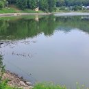 반월호수길 이미지