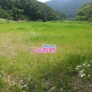 여주-1017 이미지