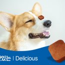 새빛약국 이미지