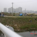 대송중학교 이미지