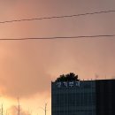 3월 말 (아르코기록원, 노베첸토, 모리스, 폴, 몬헌)