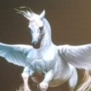 칠복목장 이미지