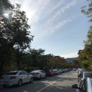 탑플레이스PC 용인언남점 | 경기/용인, 나들이 가기 좋은 _ 호암미술관