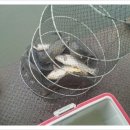 활주로낚시터 이미지