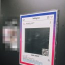 위고랜드