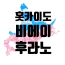 일본 홋카이도 후라노 / 비에이 핵심 명소 7곳 알아보기
