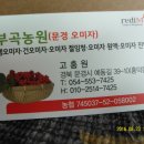 고흥원 이미지